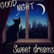 ヒメ日記 2025/09/03 23:15 投稿 ちなみ(昭和44年生まれ) 熟年カップル名古屋～生電話からの営み～