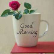 ヒメ日記 2025/09/07 08:11 投稿 ちなみ(昭和44年生まれ) 熟年カップル名古屋～生電話からの営み～