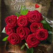 ヒメ日記 2025/09/12 08:31 投稿 ちなみ(昭和44年生まれ) 熟年カップル名古屋～生電話からの営み～