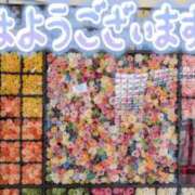 ヒメ日記 2026/10/08 09:30 投稿 ちなみ(昭和44年生まれ) 熟年カップル名古屋～生電話からの営み～