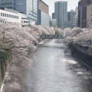 ヒメ日記 2025/04/11 20:05 投稿 ひかる G-SPOT 土浦店