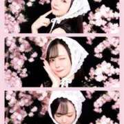 ヒメ日記 2026/03/31 14:11 投稿 ひかる G-SPOT 土浦店