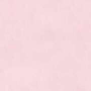 ヒメ日記 2025/02/03 01:02 投稿 りこ【えっち大好きE乳美女】 STELLA TOKYO－ステラトウキョウ－