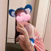 ナビ まけほー🐨 アラモード