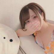 ヒメ日記 2025/02/04 10:56 投稿 ことり なでし娘