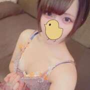 ヒメ日記 2025/03/17 10:57 投稿 ことり なでし娘