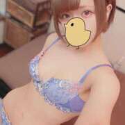 ヒメ日記 2025/04/02 11:32 投稿 ことり なでし娘