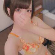 ヒメ日記 2026/06/11 11:42 投稿 ことり なでし娘