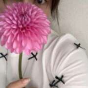 ヒメ日記 2025/02/01 16:33 投稿 黒崎　かりん YUDEN〜油殿〜谷九・日本橋店