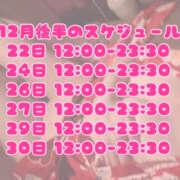 ヒメ日記 2025/12/15 18:30 投稿 のぞみ メイドde本舗