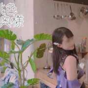 ヒメ日記 2025/02/05 08:35 投稿 嬉野しおん（うれしのしおん） 桃色奥様(佐賀)