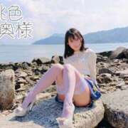 ヒメ日記 2025/02/06 10:29 投稿 嬉野しおん（うれしのしおん） 桃色奥様(佐賀)