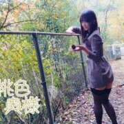 ヒメ日記 2025/02/06 18:28 投稿 嬉野しおん（うれしのしおん） 桃色奥様(佐賀)