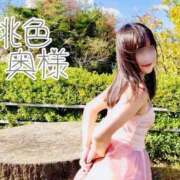 ヒメ日記 2025/02/10 16:18 投稿 嬉野しおん（うれしのしおん） 桃色奥様(佐賀)