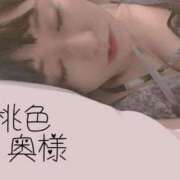 ヒメ日記 2025/02/12 09:19 投稿 嬉野しおん（うれしのしおん） 桃色奥様(佐賀)