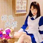 ヒメ日記 2025/02/13 15:55 投稿 嬉野しおん（うれしのしおん） 桃色奥様(佐賀)