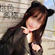 ヒメ日記 2025/02/14 08:35 投稿 嬉野しおん（うれしのしおん） 桃色奥様(佐賀)