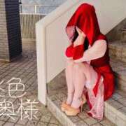 ヒメ日記 2025/02/15 07:55 投稿 嬉野しおん（うれしのしおん） 桃色奥様(佐賀)