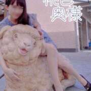 ヒメ日記 2025/02/15 10:05 投稿 嬉野しおん（うれしのしおん） 桃色奥様(佐賀)