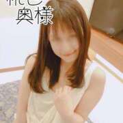 ヒメ日記 2025/02/16 09:55 投稿 嬉野しおん（うれしのしおん） 桃色奥様(佐賀)