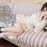 ヒメ日記 2025/05/08 18:55 投稿 嬉野しおん（うれしのしおん） 桃色奥様(佐賀)