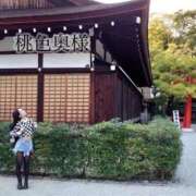 ヒメ日記 2025/10/19 06:35 投稿 嬉野しおん（うれしのしおん） 桃色奥様(佐賀)