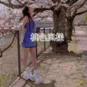 ヒメ日記 2025/10/24 08:35 投稿 嬉野しおん（うれしのしおん） 桃色奥様(佐賀)