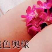 嬉野しおん（うれしのしおん） ♡酒盛♡ 桃色奥様(佐賀)