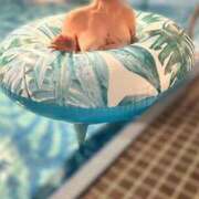 ヒメ日記 2025/04/23 21:02 投稿 長谷川ゆみ 池袋㊙エステ～フル勃起～