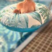 ヒメ日記 2026/01/27 00:07 投稿 長谷川ゆみ 池袋㊙エステ～フル勃起～