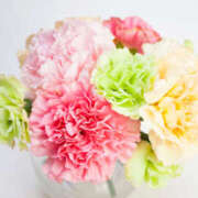 ヒメ日記 2025/05/11 13:30 投稿 篠原えり 五十路マダム 新潟店(カサブランカグループ)