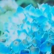 篠原えり 今日も素敵すぎる 五十路マダム 新潟店(カサブランカグループ)