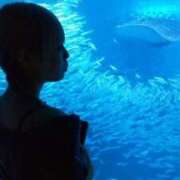 ヒメ日記 2025/12/10 22:42 投稿 ねむ【FG系列】 フィーリングin横浜