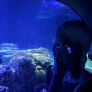 ヒメ日記 2026/01/13 04:54 投稿 ねむ【FG系列】 フィーリングin横浜