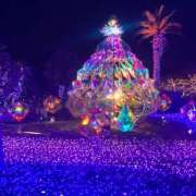 ヒメ日記 2025/02/10 18:25 投稿 ひかる 横浜パフパフチェリーパイ