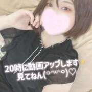 ヒメ日記 2025/02/05 18:17 投稿 ミア(奥方) 奥様幕府