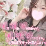 ヒメ日記 2025/04/16 12:07 投稿 ミア(奥方) 奥様幕府