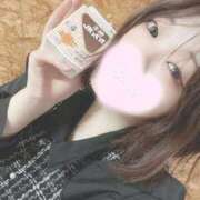 ヒメ日記 2025/04/19 17:47 投稿 ミア(奥方) 奥様幕府