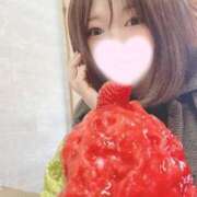 ヒメ日記 2025/04/20 07:17 投稿 ミア(奥方) 奥様幕府