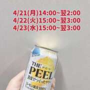 ヒメ日記 2025/04/21 03:57 投稿 ミア(奥方) 奥様幕府