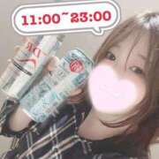 ヒメ日記 2025/04/24 01:47 投稿 ミア(奥方) 奥様幕府