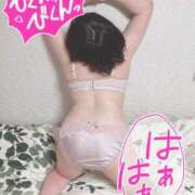 ヒメ日記 2025/04/25 14:37 投稿 ミア(奥方) 奥様幕府