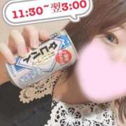 ヒメ日記 2025/04/27 03:37 投稿 ミア(奥方) 奥様幕府