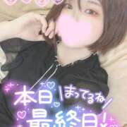 ヒメ日記 2025/04/27 07:47 投稿 ミア(奥方) 奥様幕府