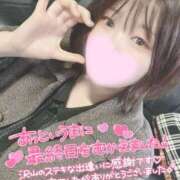 ヒメ日記 2025/04/28 18:17 投稿 ミア(奥方) 奥様幕府