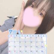 ヒメ日記 2025/07/11 12:07 投稿 ミア(奥方) 奥様幕府