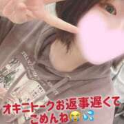 ヒメ日記 2025/07/19 15:20 投稿 ミア(奥方) 奥様幕府