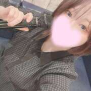 ヒメ日記 2025/07/19 16:17 投稿 ミア(奥方) 奥様幕府