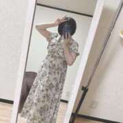 ヒメ日記 2025/07/20 14:17 投稿 ミア(奥方) 奥様幕府