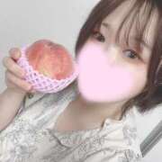 ヒメ日記 2025/07/22 07:47 投稿 ミア(奥方) 奥様幕府